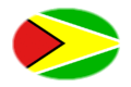 Flagge Guyana