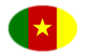 Flagge Kamerun