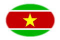 Flagge Suriname